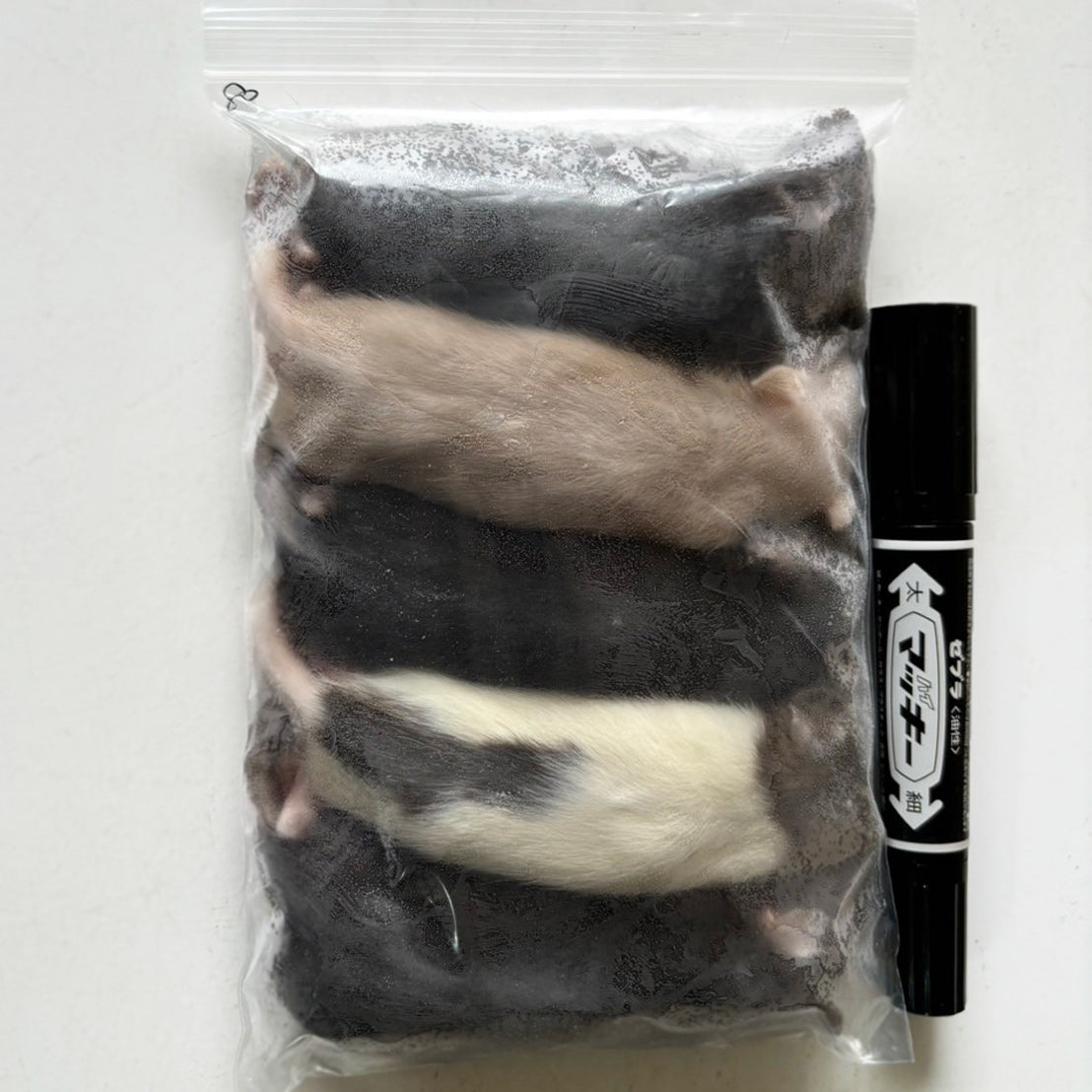 国産冷凍ラット80 約80g 5匹入り