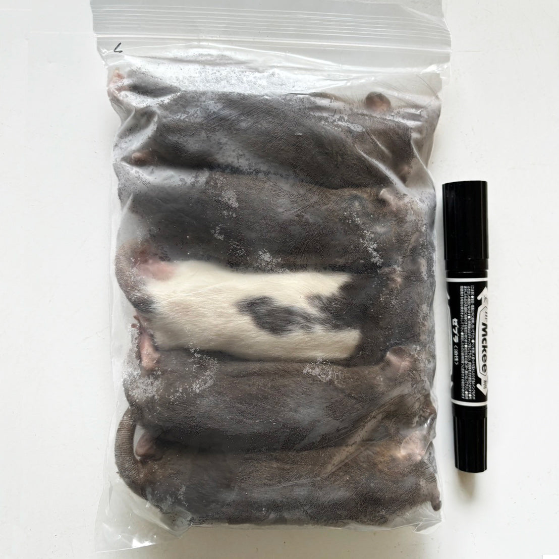 国産冷凍アダルトラットS 約140g 5匹入り