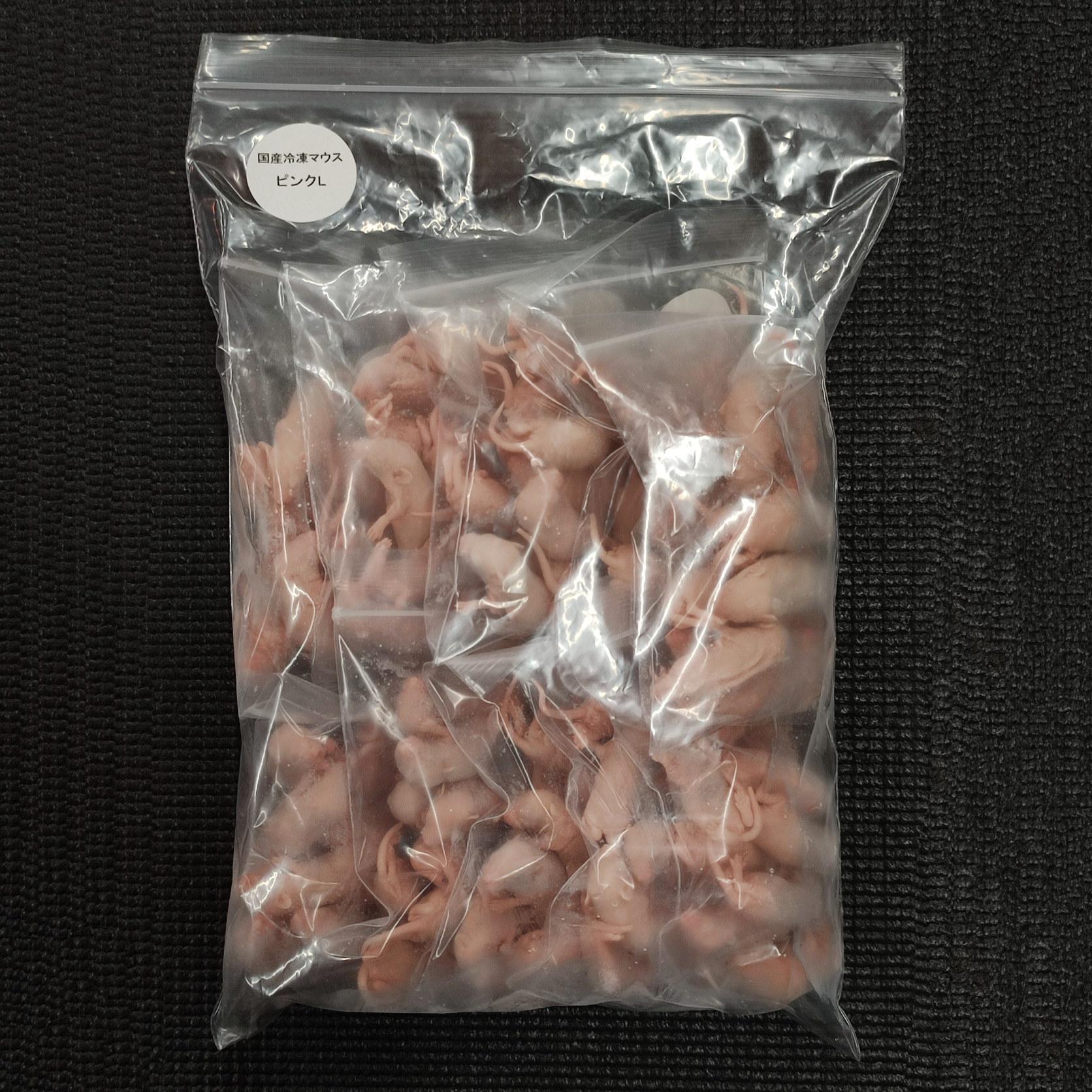 国産冷凍マウス ピンクL 50匹(地域限定送料無料) - 爬虫類・両生類のエサ