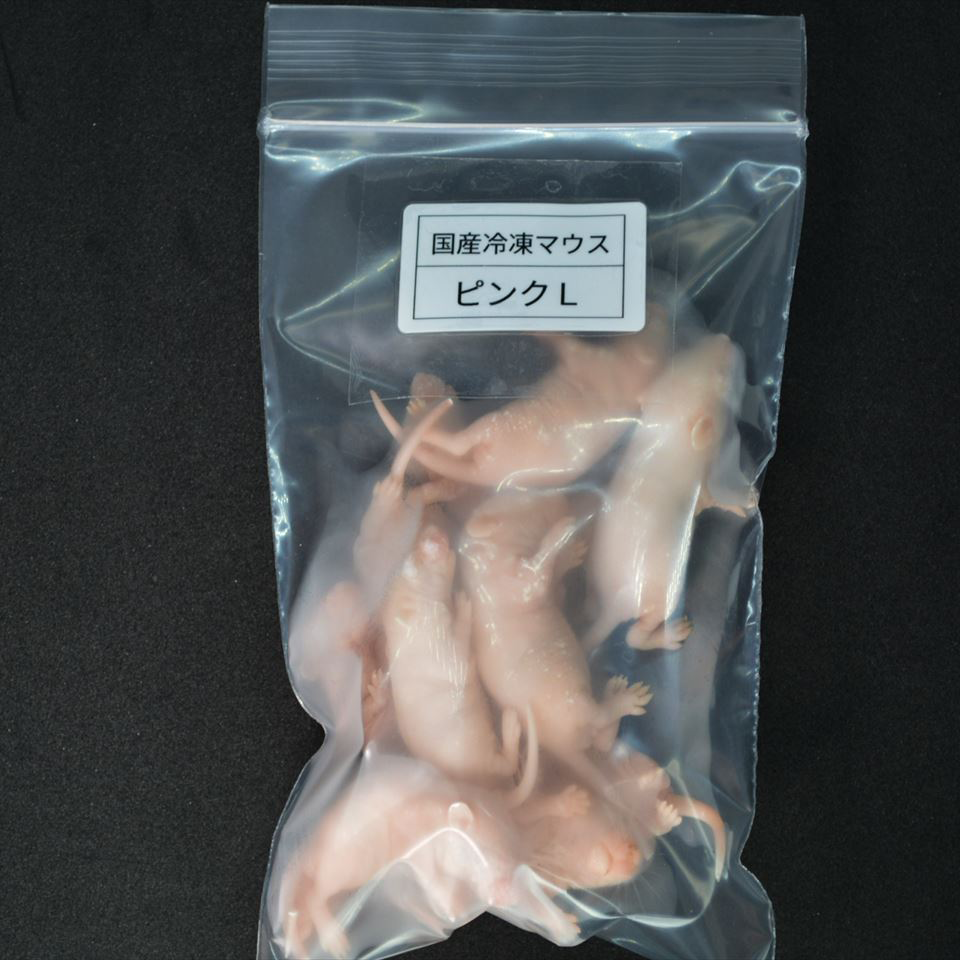 国産冷凍ピンクマウスL 10匹