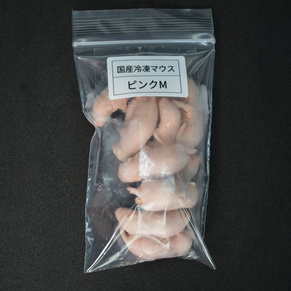 【on】国産冷凍マウス ピンクS 1000匹 国産冷凍ピンクマウスM 10匹入り – サイエンスファーム
