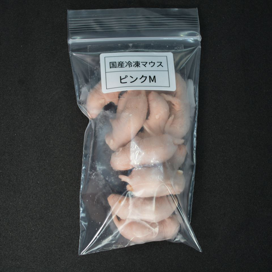 国産冷凍ピンクマウスM 10匹入り