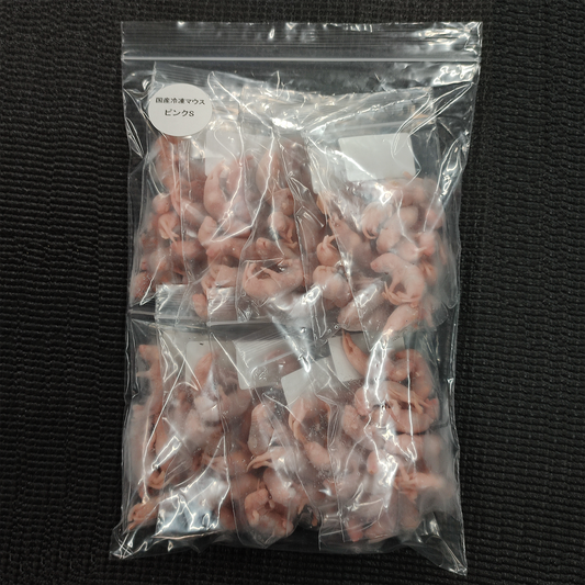国産冷凍ピンクマウスS 100匹入り