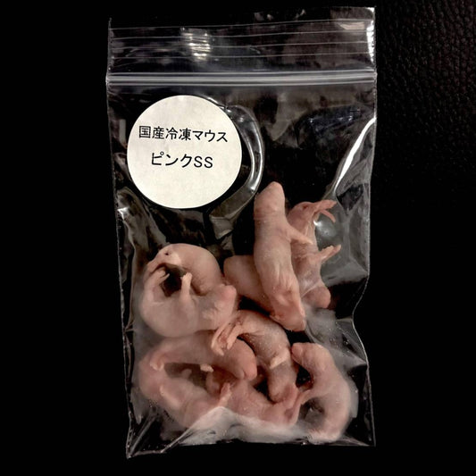 国産冷凍ピンクマウスSS 10匹入り