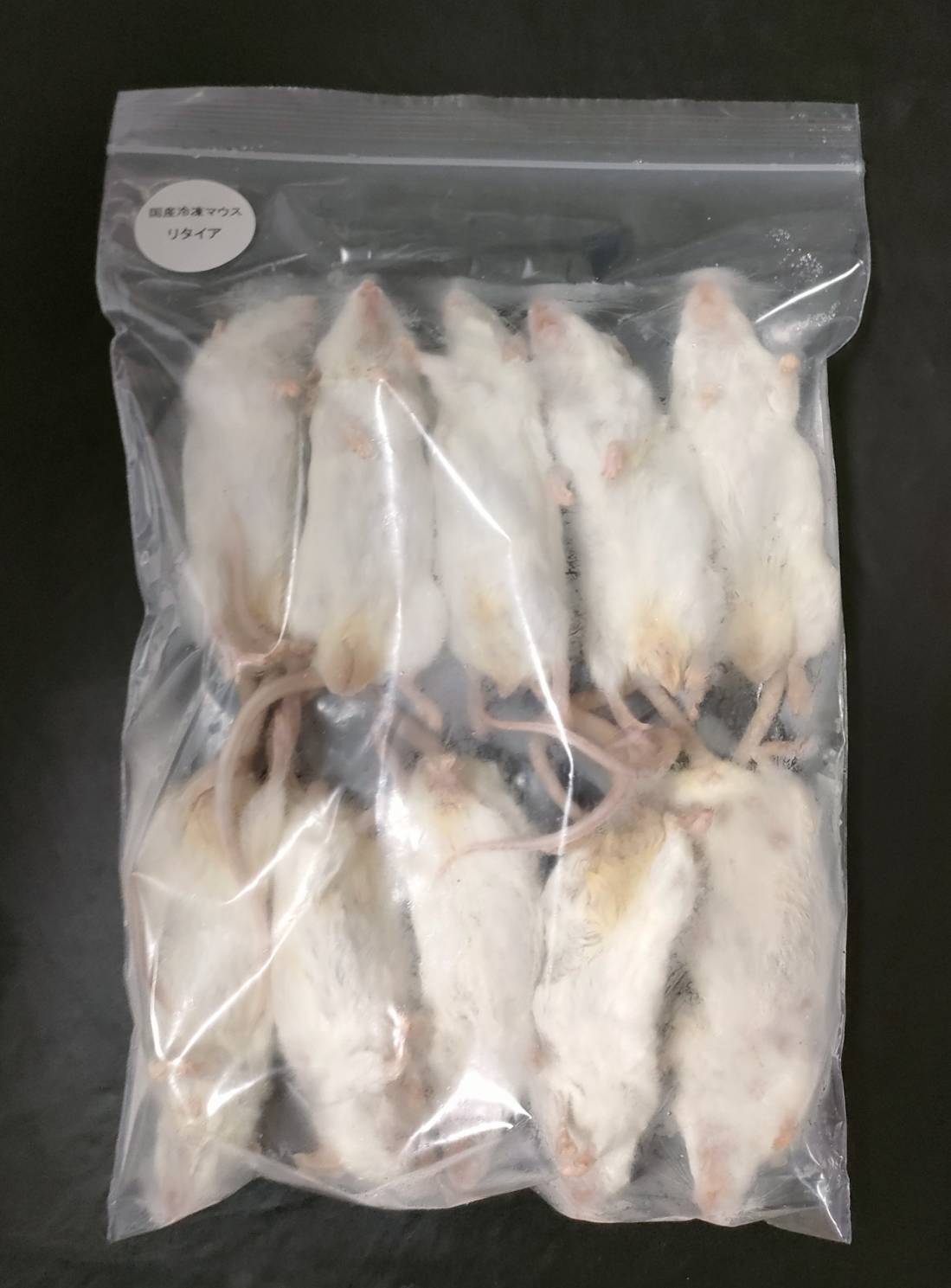 国産冷凍マウス リタイアマウス 10匹入り　